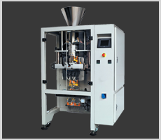 Powder & Granule Vertical F.F & S. Machine in Ahmedabad